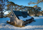 Australia Wallaces Hut Wall Art Print