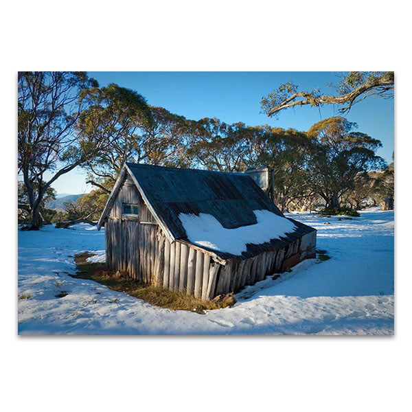 Australia Wallaces Hut Wall Art Print