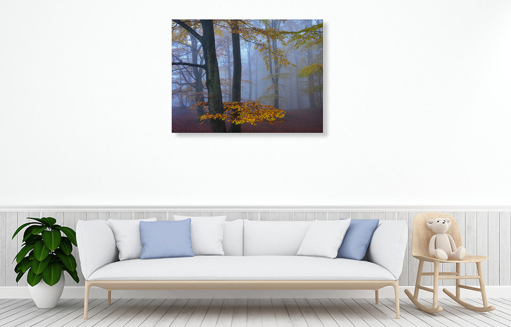 Autumn Forest Wall Art Print on the wall