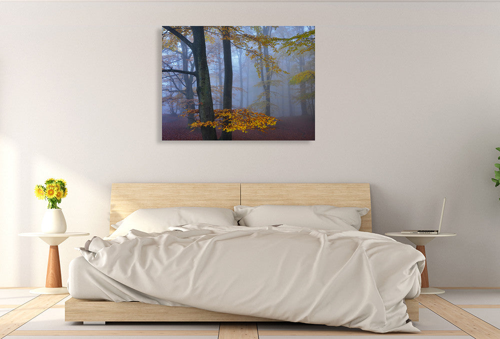 Autumn Forest Wall Art Print on the wall