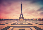 Awakening Paris Wall Art Print