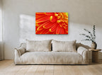 Ember Gerbera Close-Up floral canvas print on the wall of a living room
