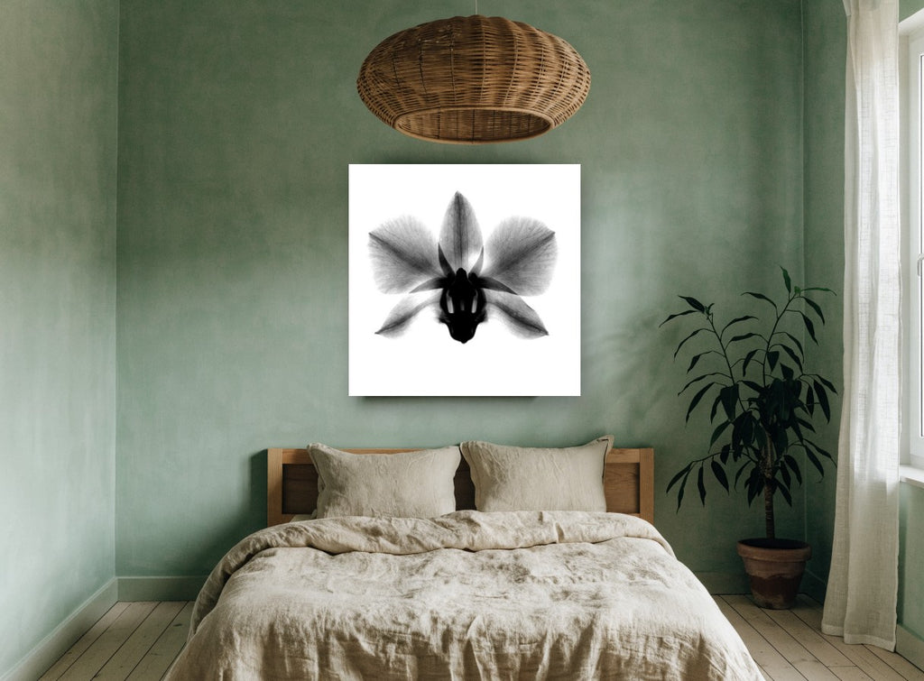 Orchid in Negative floral canvas print on the wall of a bedroom