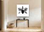 Orchid in Negative floral canvas print on the wall of a hallway