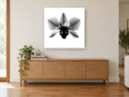 Orchid in Negative floral canvas print on the wall of a living room above a sideboard