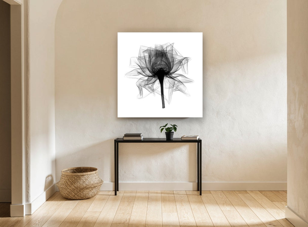 Open Rose X-Ray floral canvas print on the wall of a hallway