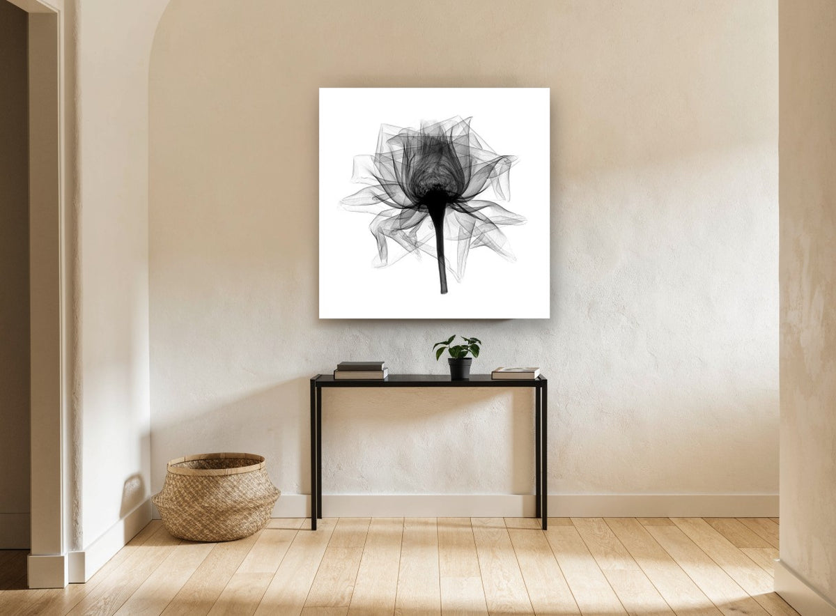 Open Rose X-Ray floral canvas print on the wall of a hallway