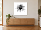 Open Rose X-Ray floral canvas print on the wall of a living room above a sideboard