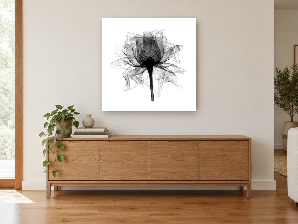 Open Rose X-Ray floral canvas print on the wall of a living room above a sideboard