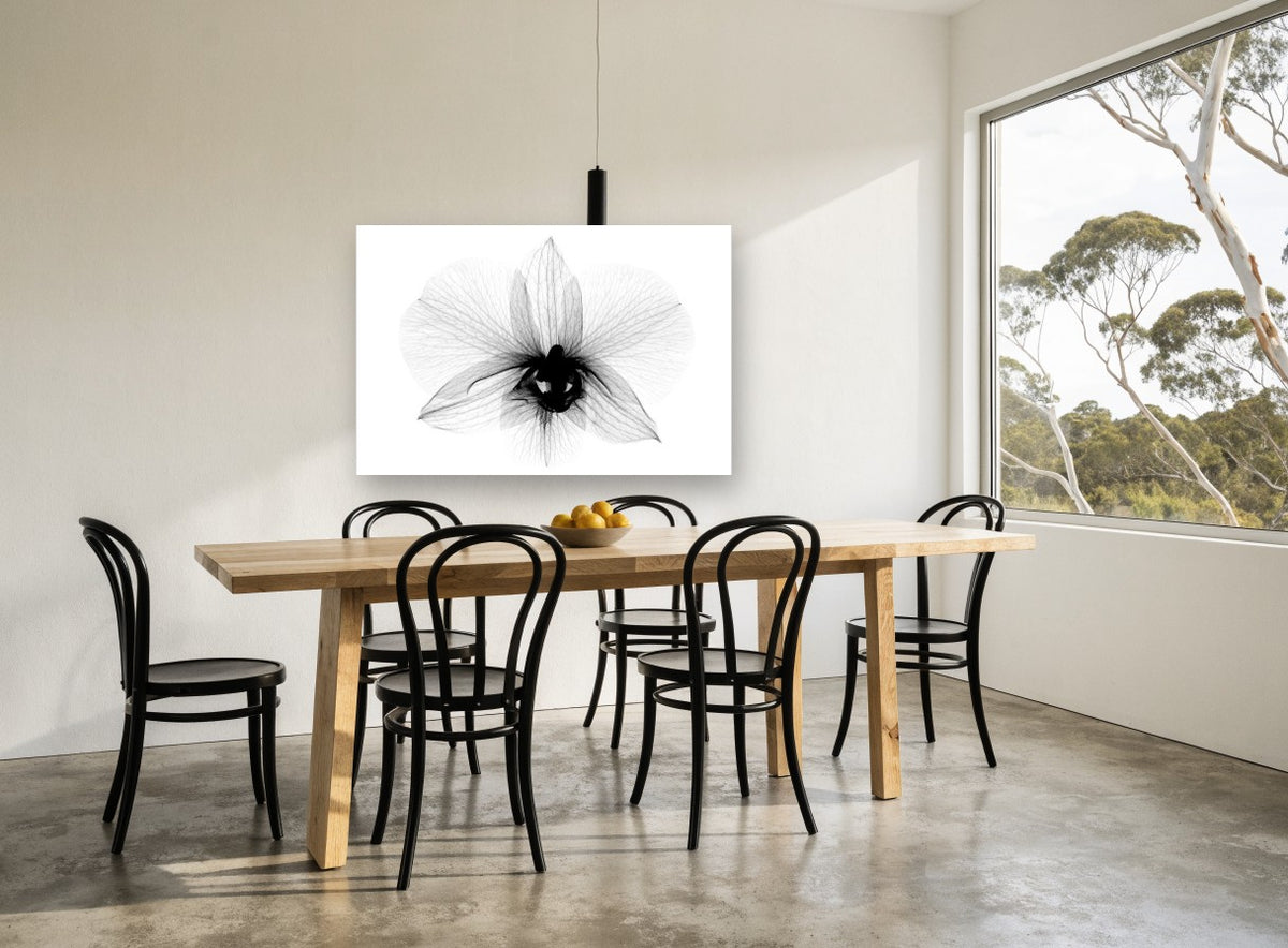 Orchid in Translucence floral canvas print on the wall of a dining room