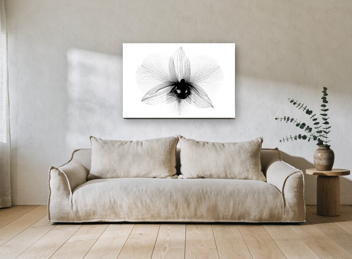 Orchid in Translucence floral canvas print on the wall of a living room