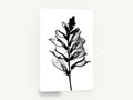 Foxglove Skeleton, foxglove x-ray black and white botanical, floral canvas wall art print ready to hang