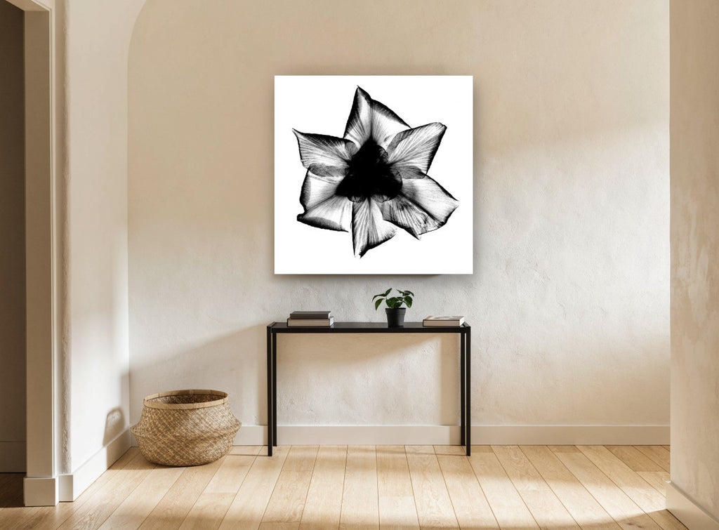 Iris X-Ray Bloom floral canvas print on the wall of a hallway
