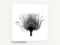 Rose in Silhouette, rose x-ray black and white photography, floral canvas wall art print ready to hang