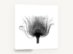 Rose in Silhouette, rose x-ray black and white photography, floral canvas wall art print ready to hang
