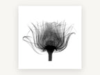 Rose in Silhouette, floral canvas wall art print, front view