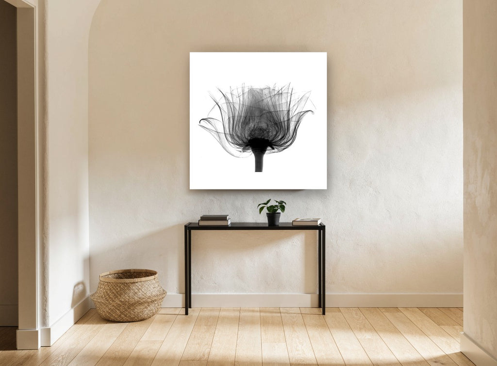 Rose in Silhouette floral canvas print on the wall of a hallway