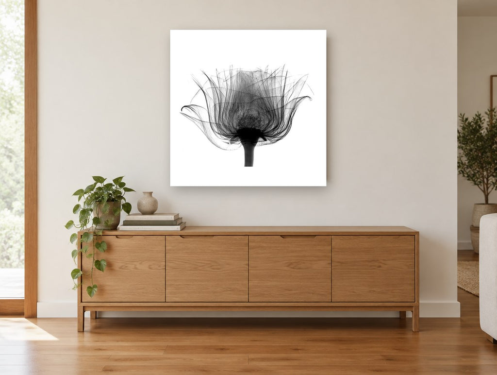 Rose in Silhouette floral canvas print on the wall of a living room above a sideboard