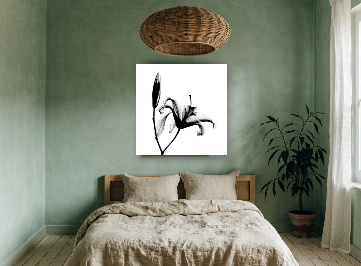Lily in Silhouette floral canvas print on the wall of a bedroom