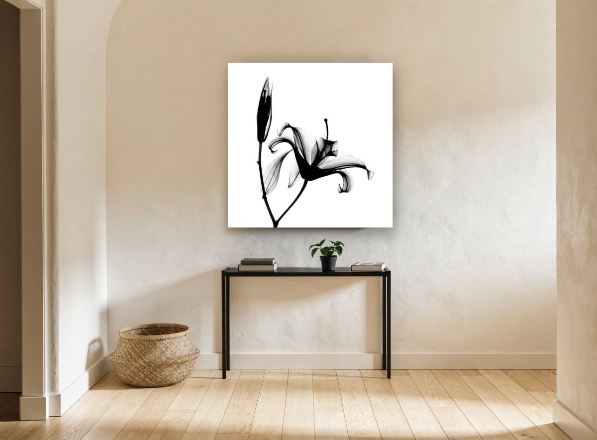 Lily in Silhouette floral canvas print on the wall of a hallway