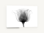 Rose in Silhouette, rose x-ray black and white photograph, floral canvas wall art print ready to hang