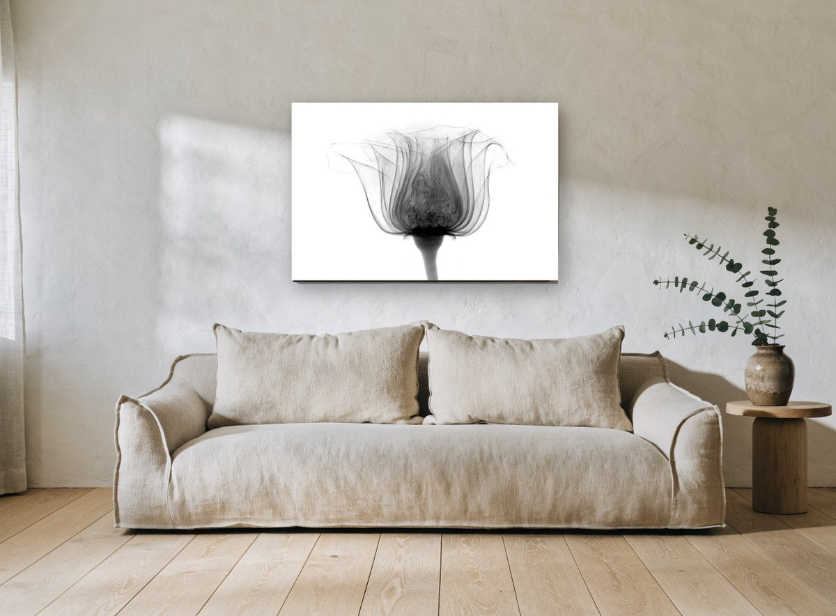 Rose in Silhouette floral canvas print on the wall of a living room