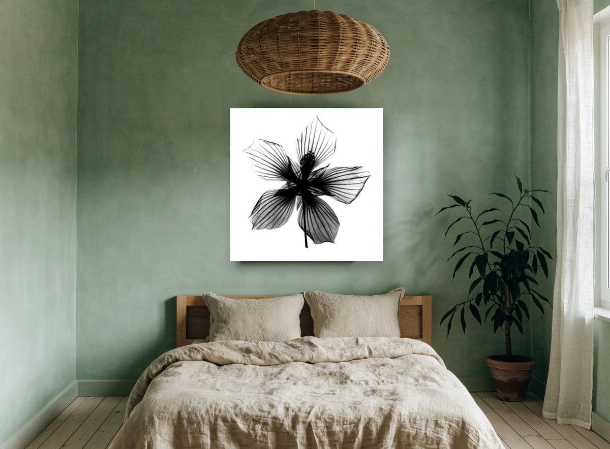 Hibiscus Star Silhouette floral canvas print on the wall of a bedroom