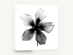 Hibiscus Star Silhouette, hibiscus x-ray black and white floral, floral canvas wall art print ready to hang