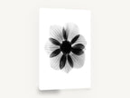 Anemone in Negative, anemone x-ray black and white floral, floral canvas wall art print ready to hang