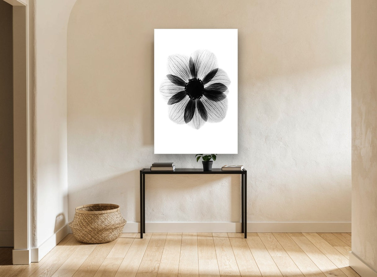 Anemone in Negative floral canvas print on the wall of a hallway