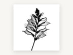 Foxglove Shadow Spire, floral canvas wall art print, front view