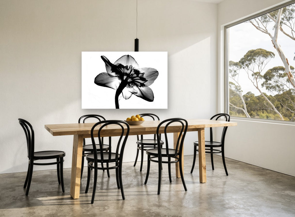Daffodil Back Light floral canvas print on the wall of a dining room