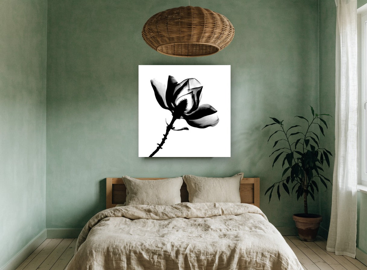 Magnolia in Silhouette floral canvas print on the wall of a bedroom