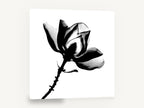 Magnolia in Silhouette, magnolia flower black and white photograph, floral canvas wall art print ready to hang