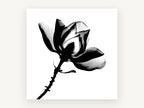 Magnolia in Silhouette, floral canvas wall art print, front view
