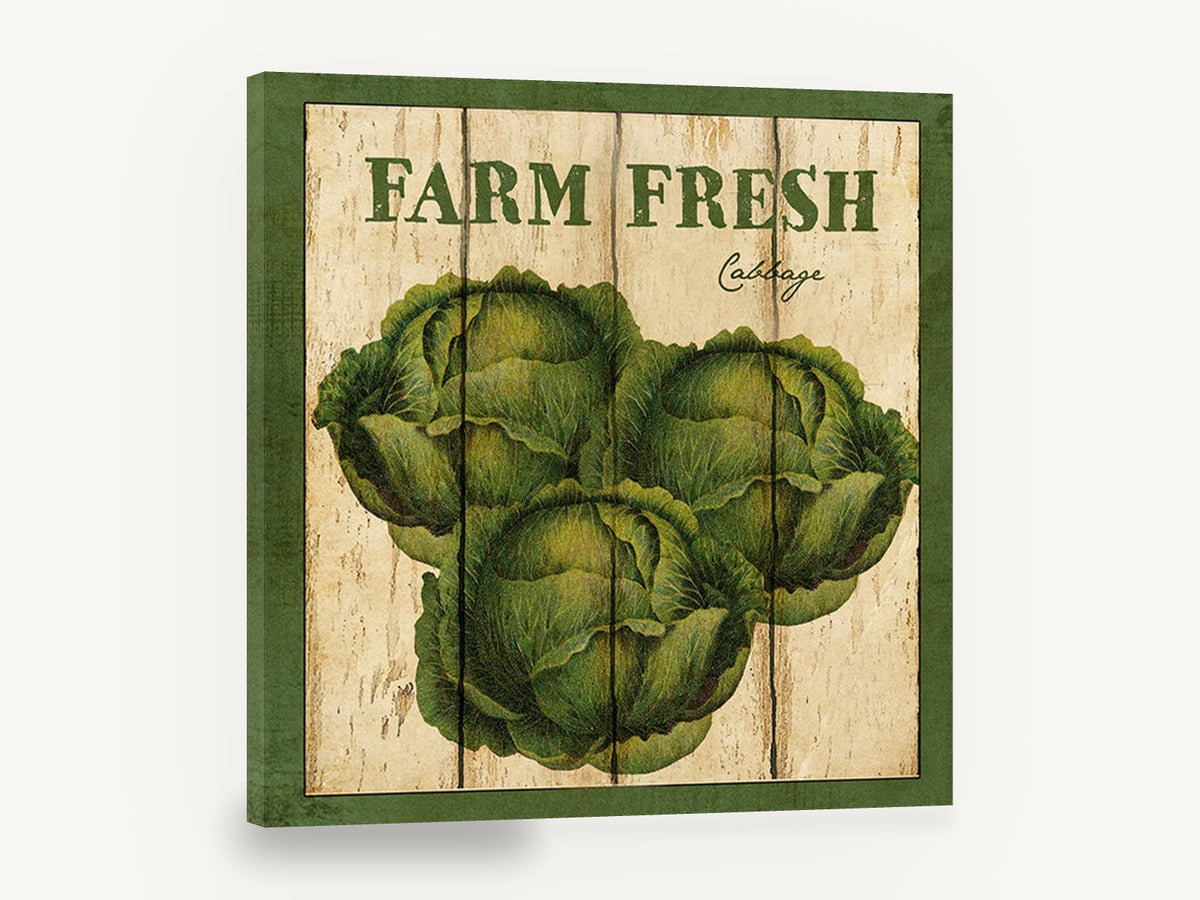 Farm Fresh Cabbage, vintage farm fresh cabbage sign, stretched canvas wall art print ready to hang