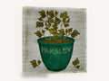 Green Pot Parsley, rustic potted parsley herb, stretched canvas wall art print ready to hang