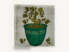 Green Pot Parsley, rustic potted parsley herb, stretched canvas wall art print ready to hang