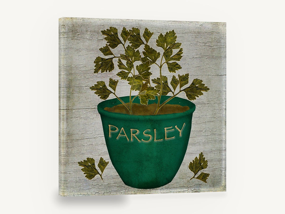 Green Pot Parsley, rustic potted parsley herb, stretched canvas wall art print ready to hang