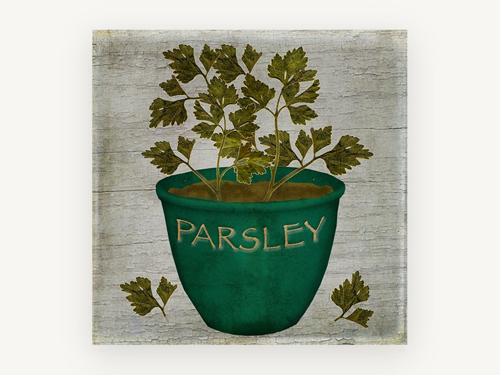 Green Pot Parsley, vintage canvas wall art print, front view