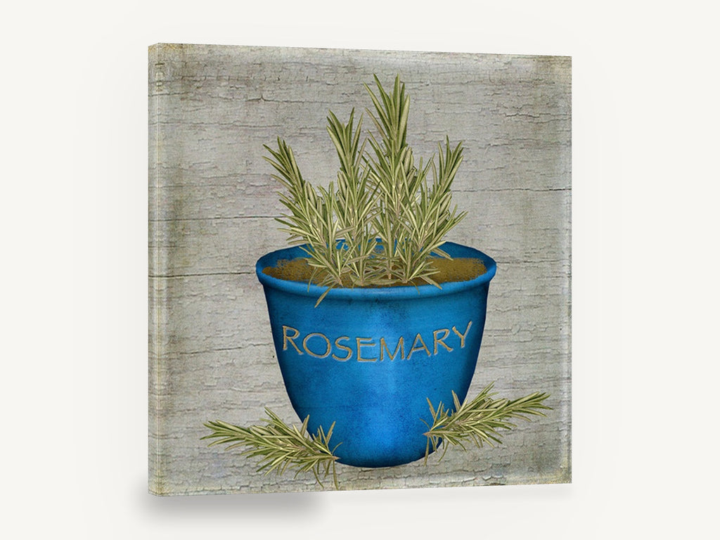 Blue Pot Rosemary, vintage rosemary herb pot, stretched canvas wall art print ready to hang