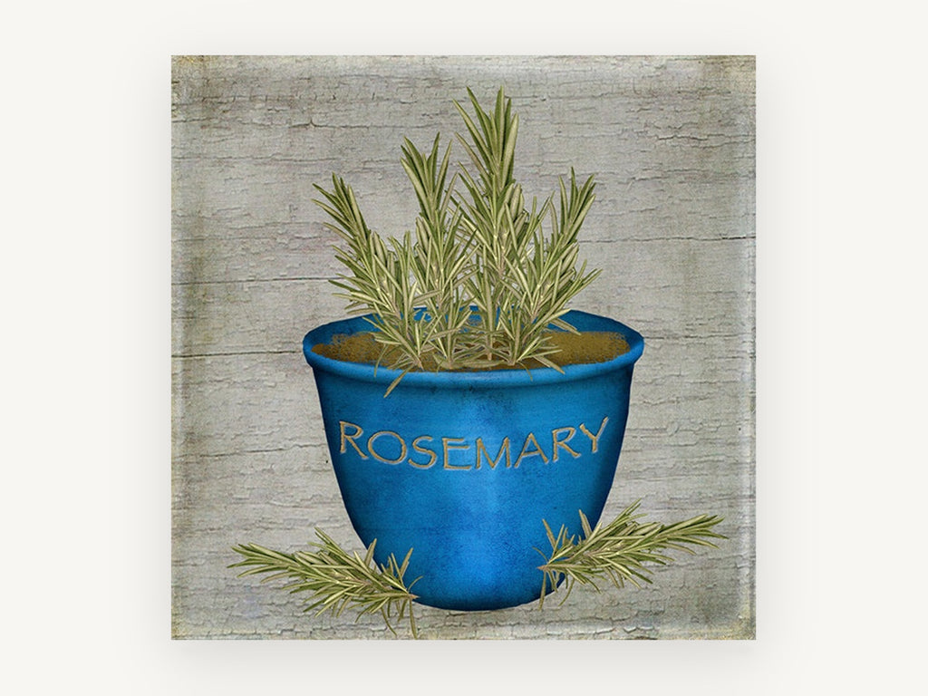 Blue Pot Rosemary, vintage canvas wall art print, front view