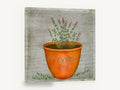 Potted Thyme Herb, vintage terracotta thyme herb pot, stretched canvas wall art print ready to hang