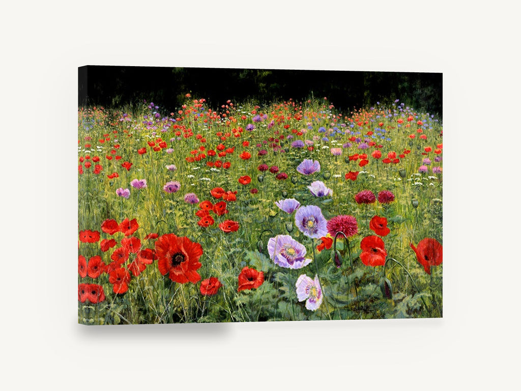 Poppy Meadow Bloom, red and mauve poppy field painting, floral canvas wall art print ready to hang
