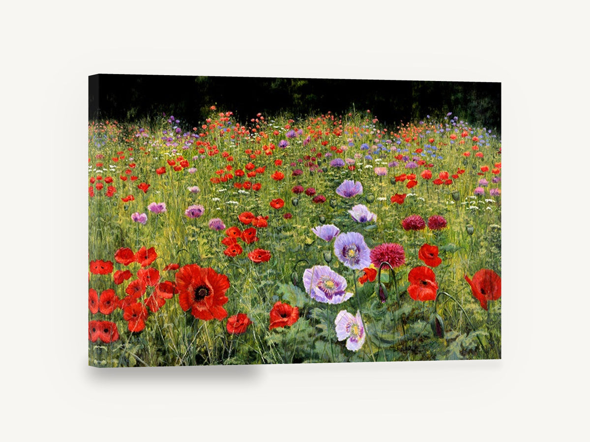Poppy Meadow Bloom, red and mauve poppy field painting, floral canvas wall art print ready to hang