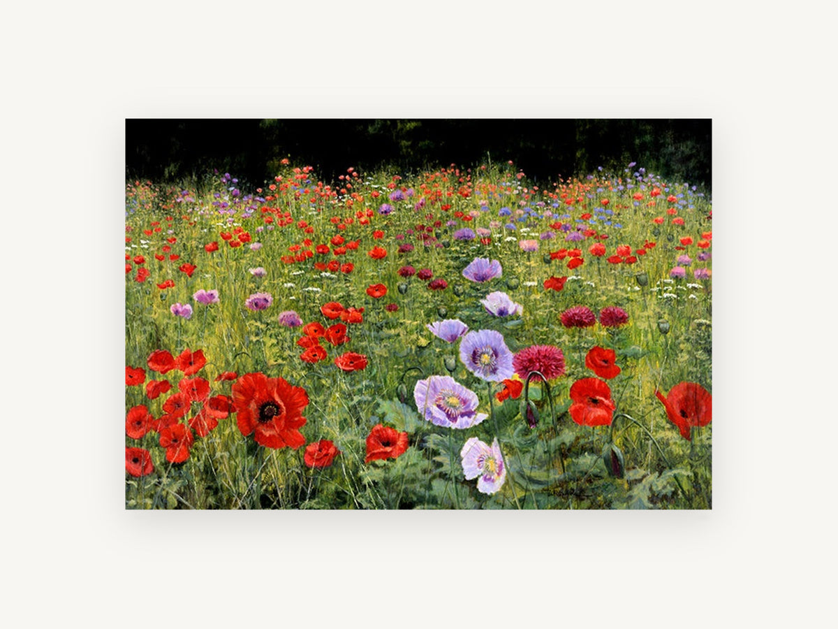 Poppy Meadow Bloom, floral canvas wall art print, front view