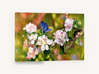 Blue Butterfly Blossom, blue butterfly apple blossom painting, floral canvas wall art print ready to hang