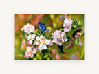 Blue Butterfly Blossom, floral canvas wall art print, front view