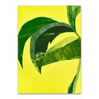 Banana Leaf I Wall Art Print