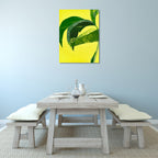 Banana Leaf I Wall Art Print on the wall